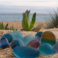 motherofsucculents