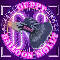 original sound - NIDO's Fishes