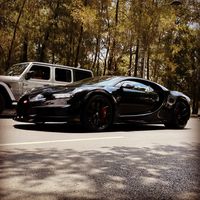 fvl_spotters