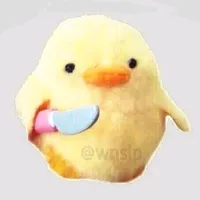 original sound - chpokkk