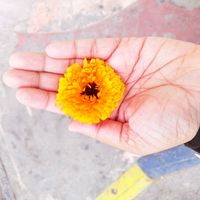najiyafn