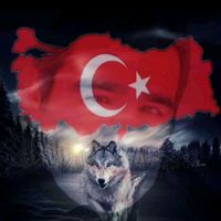orijinal ses