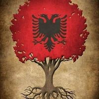 πρωτότυπος ήχος