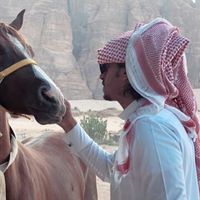 الصوت الأصلي