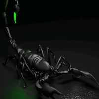 πρωτότυπος ήχος