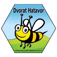צליל מקורי