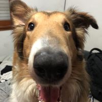 fran_013478
