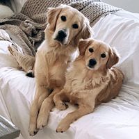 murphyandmay