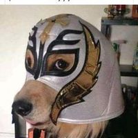 sonido original