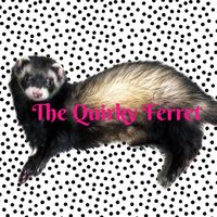thequirkyferret