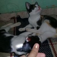 user19710219