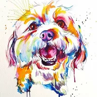 original sound - poodle.fan.club_