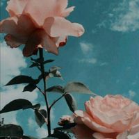 tips.girls._0
