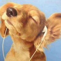original sound