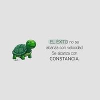 yelimarci