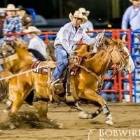 pullarahorses82