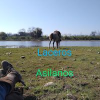 laceros_asilanos