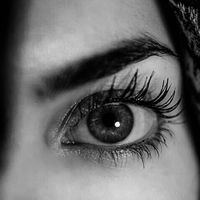 shadokht___.afg