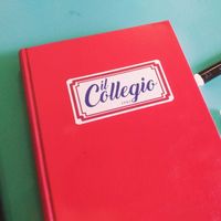 iltrashdelcollegio1234