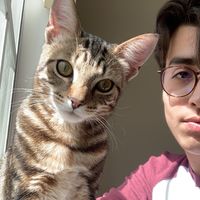 robbie.fernandez