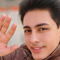 الصوت الأصلي