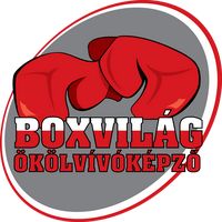 boxvilag