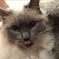 gizzy.hancock