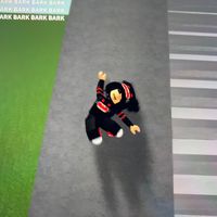 roblox_player_22710