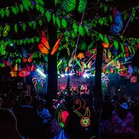 original sound - TRiBE of FRoG