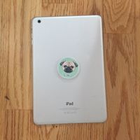 foundmyipadcheck
