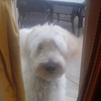 user03919981