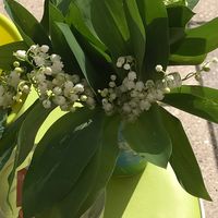 maryloulelou1