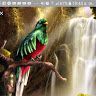quetzalitodeorient