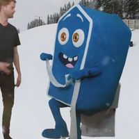 obosmaskoter