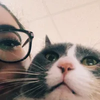 original sound - yay4cats