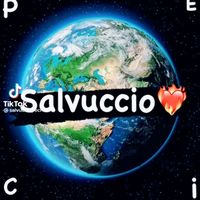 sarpietro_salv
