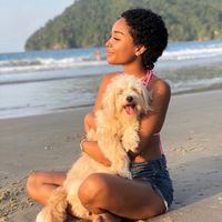 chevellebritto