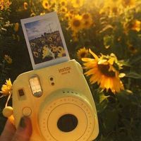 tumblr._.tipps