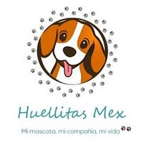 huellitasmex