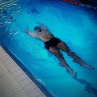 pescuitlafeederfetesti