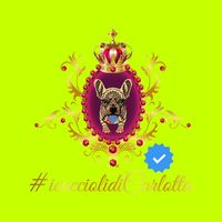 icucciolidicarlottareal