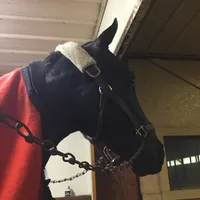 original sound - asb.mo