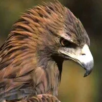 original sound - theking_ch0