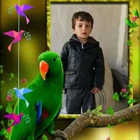 original sound - user18877381