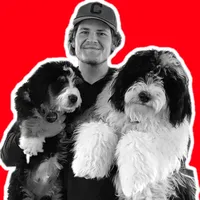 The Doggy Anthem by Brandon Zingale 1dude2doodles