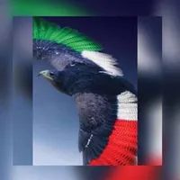 original sound - sad.man.hasem