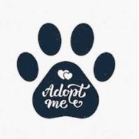adoptme.qx