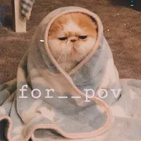 original sound - for__pov