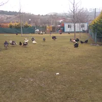 original sound - yusufsemimetin