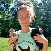 doubletrouble_hmstead